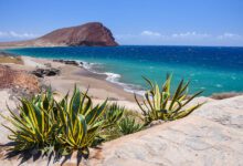 Tips voor een vakantie naar Tenerife - AllinMam.com