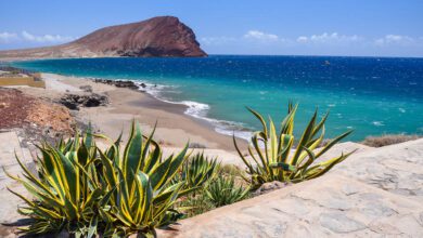 Tips voor een vakantie naar Tenerife - AllinMam.com