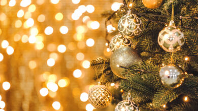 Wanneer de kerstboom opzetten tips AllinMam